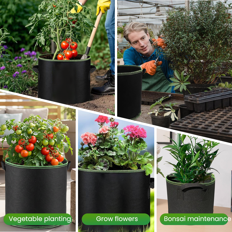 Thickened Non-Woven Grow Bag with Handles upsell